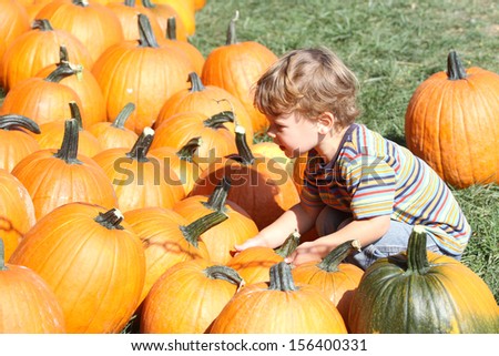Child picking a pumpkin