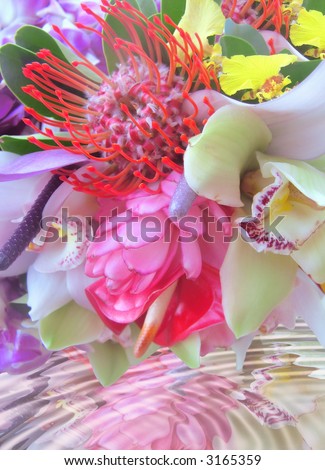 View of a tropical bridal bouquet, tropical flowers