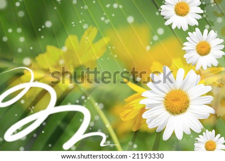 Summer or spring background with bright, colorful green stems, daisy and yellow flowers, sparkles