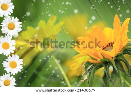 Summer or spring background with bright, colorful green stems, daisy and yellow flowers, sparkles