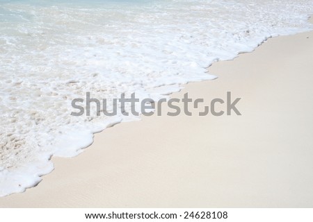 Wave with white foal rolling onto clean sand beach