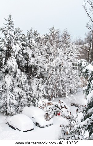 Fairfax, VA, USA - FEBRUARY 6:  snow storm, blizzard cripples the Capital region on February 6, 2010