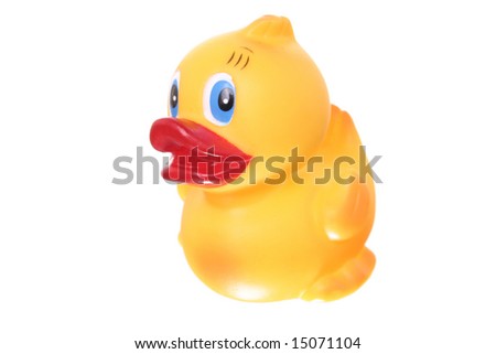 Yellow Rubber Ducky isolated on white ground