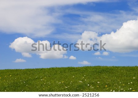 Green grass and blue sky with fluffy white clouds