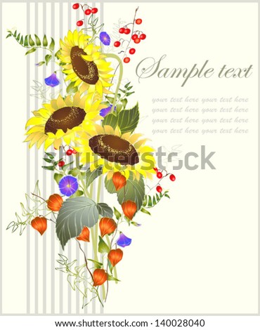 Greeting card with a sunflower.Beautiful decorative card with flowers sunflower           Illustration sunflower.