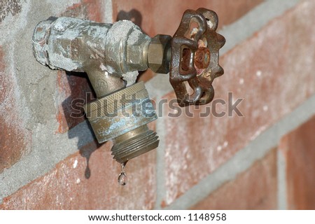 Water drip from a garden faucet
