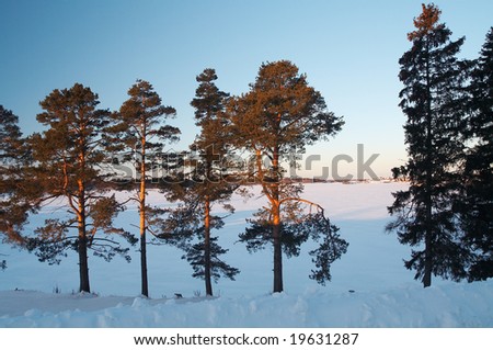 Country landscape - lake under ice
