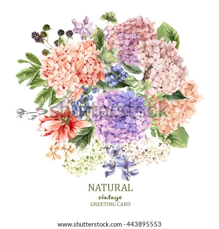 Summer Vintage Floral Greeting Card with Blooming Hydrangea and garden flowers, botanical natural hydrangea Illustration on white in watercolor style.