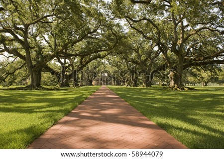 Oak Alley Plantation, with the oak tree path