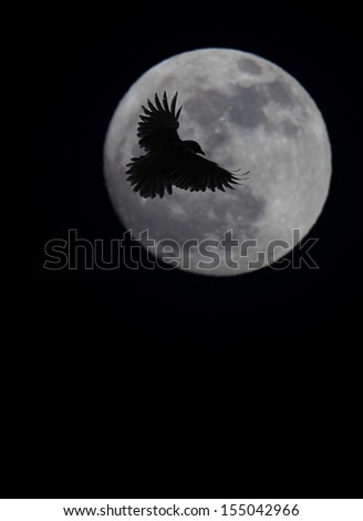 Crow flying against full moon on Halloween