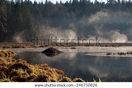 Beaver Lodge in a Mountain pond