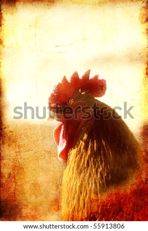 Vintage looking picture of Rooster with textured background