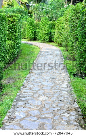 foot path in topiary work green garden