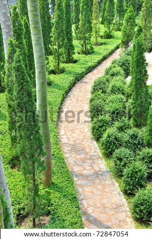 foot path in topiary work green garden