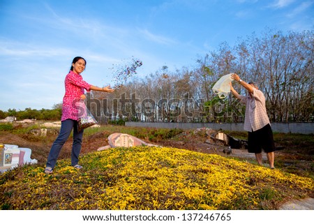 THAILAND- MARCH 31:Young and old pray before the ancestors, sweep the tombs to the ancestors. at Qingming Festival on March 31 2013 in Phatthalung, Thailand.