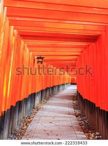The Tori gates at Fushimi Inari Shrine in Kyoto, Japan.