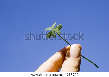 finger holding a clover under the blue sky. concept of lucky, freedom