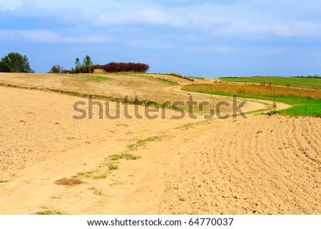 Winding dirt track leading through plowed fields