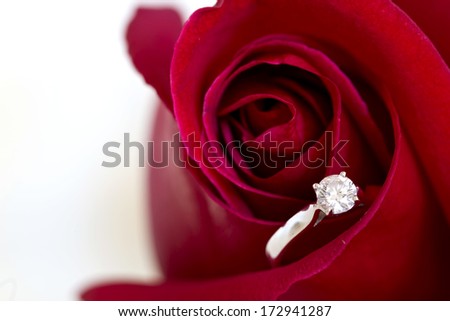 Macro closeup of red rose and beautiful sparkling diamond ring