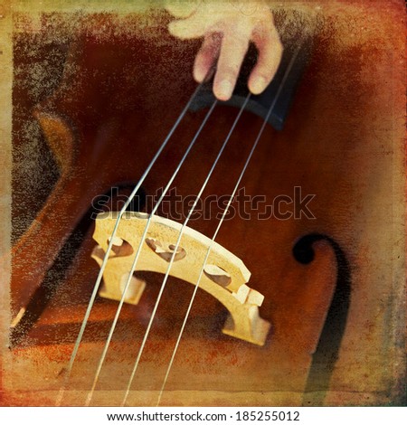 Close-up of double bass, wooden musical instrument that is played with a bow