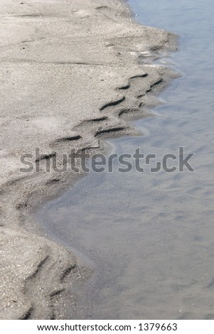 Water line at the beach