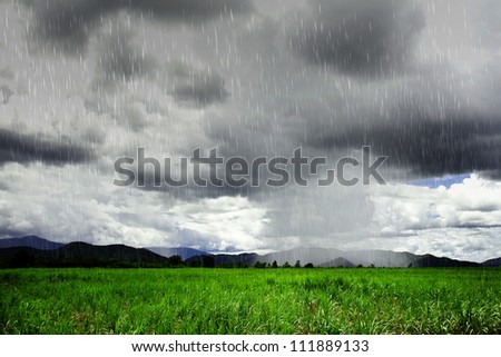 rain over green meadow
