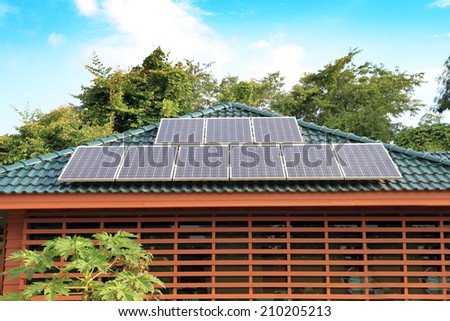 Solar panel on a green roof
