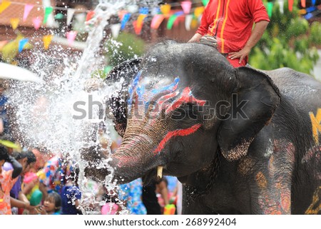 AYUTTAYA THAILAND  April 13, Elephant splashing water during Songkran Festival or warter festival foreign tourists and Thai people enjoy splashing water on April 13,2015 Ayuttaya Thailand.