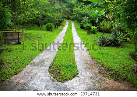 road in deep forest