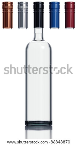 Blank Vodka Bottle