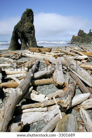 stock-photo-rubi-beach-on-oregon-coast-of-pacific-ocean-usa-3301689.jpg