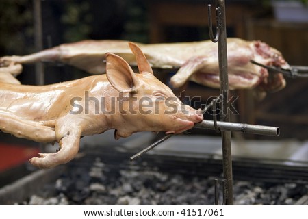 Roasted pig over fire pit in restaurant  in Lijiang, Yunnan province, China