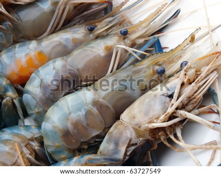 Delicious fresh shrimp seafood isolated in white
