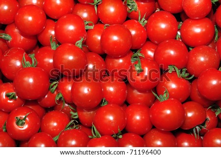 Close up of many fresh red tomatoes cherry type.