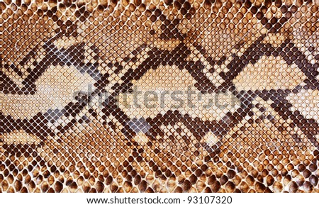 Snake skin pattern background