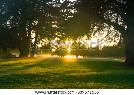 Golf course at dawn.