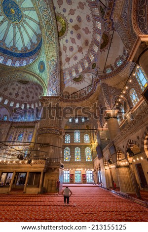 ISTANBUL, TURKEY - AUGUST 3: Muslims pray in the Blue Mosque on August 3, 2014 in Istanbul, Turkey.