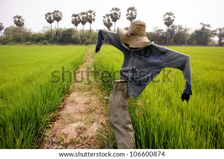 Straw man in Thai farm field in a day light