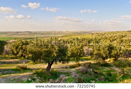 Rural israel landscape at the spring day .