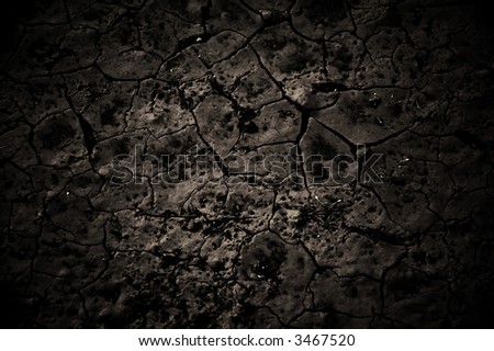dry mud that has crackled