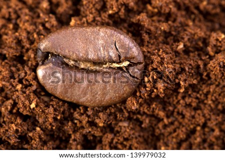 Closeup of coffee beans. Coffee bean on macro ground coffee background. Arabic coffee - ingredient of hot beverage.