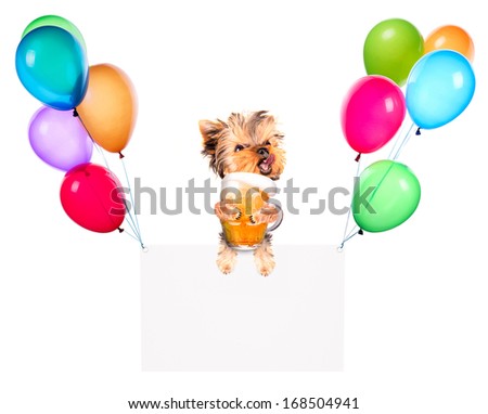 Holiday banners with balloons and dog hold beer isolated on white