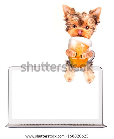 dog on computer with glass of beer