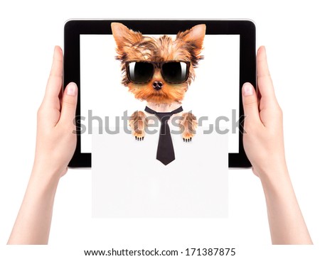 business dog holding empty banner on a digital tablet screen isolated on white