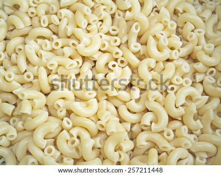 Cooked macaroni noodles
