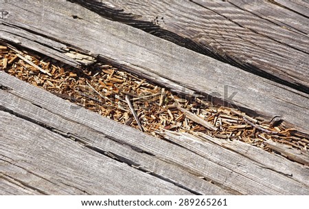 Rotted wood on boardwalk path
