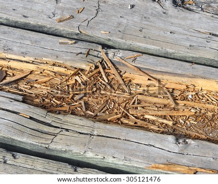 Rotting wood on boardwalk path