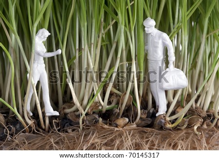two human figures in wheat sprouts-conceptual surreal abstract - stock photo