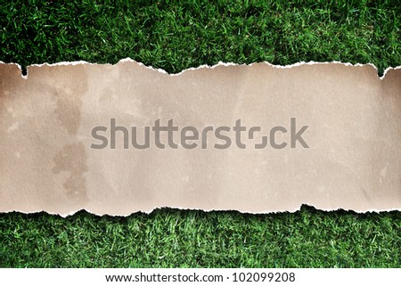 recycled paper ripped on grass.