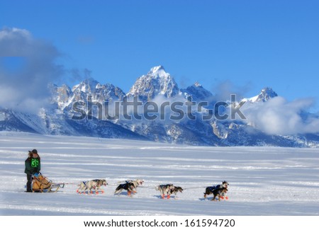 Dog Sled Team running through the mountains